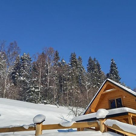 Domek Pod Groniem Mizerna Exteriér fotografie
