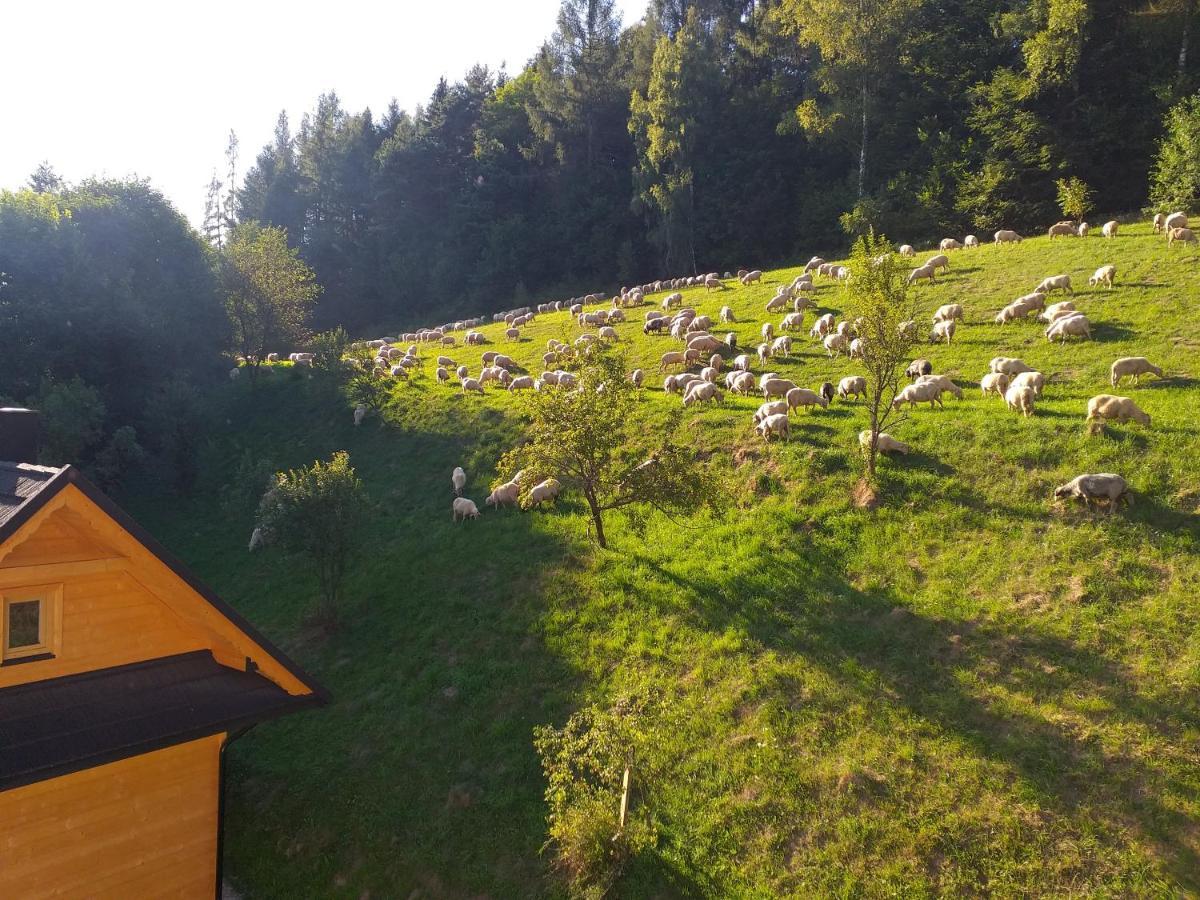 Domek Pod Groniem Mizerna Exteriér fotografie