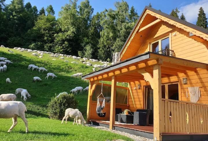Domek Pod Groniem Mizerna Exteriér fotografie